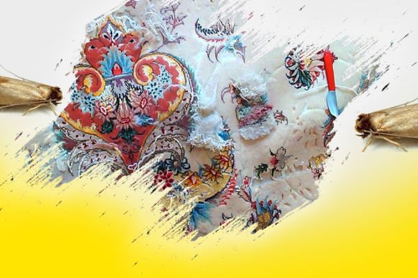 بهترین راهکار برای ضد بید کردن فرش